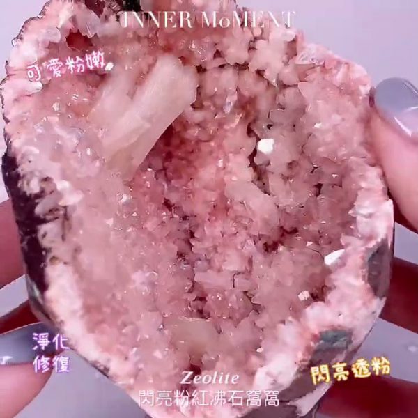 沸石