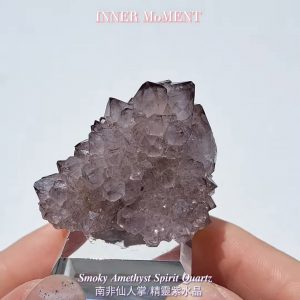 𝑺𝒎𝒐𝒌𝒚 𝑨𝒎𝒆𝒕𝒉𝒚𝒔𝒕 𝑺𝒑𝒊𝒓𝒊𝒕 𝑸𝒖𝒂𝒓𝒕𝒛 南非仙人掌/精靈紫水晶
